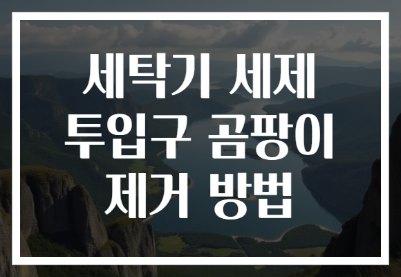 세탁기 세제 투입구 곰팡이 제거 방법