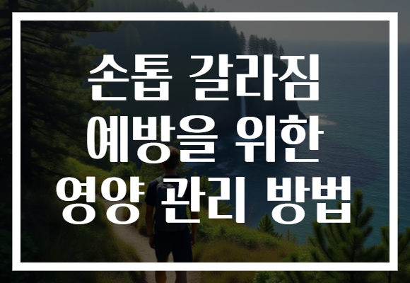 손톱 갈라짐 예방을 위한 영양 관리 방법