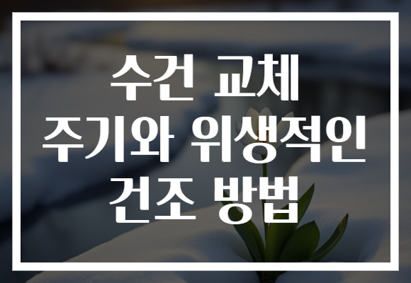 수건 교체 주기와 위생적인 건조 방법