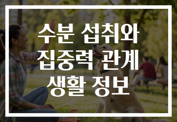 수분 섭취와 집중력 관계 생활 정보