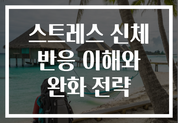 스트레스 신체 반응 이해와 완화 전략