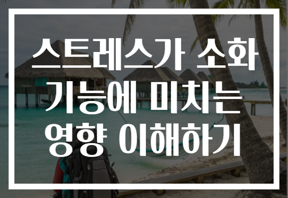 스트레스가 소화 기능에 미치는 영향 이해하기