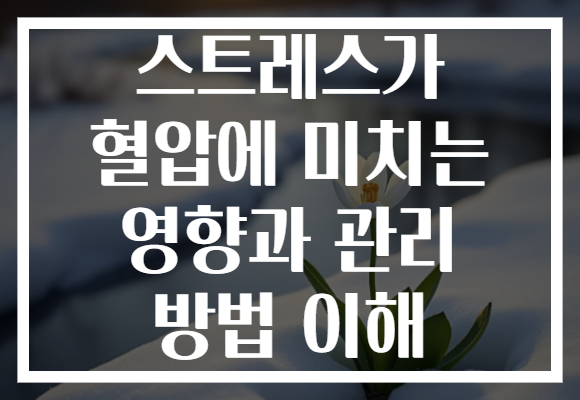 스트레스가 혈압에 미치는 영향과 관리 방법 이해 스트레스가 혈압에 미치는 영향과 관리 방법 이해