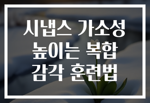 시냅스 가소성 높이는 복합 감각 훈련법