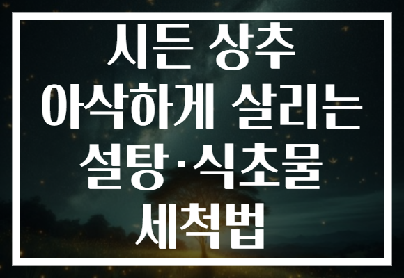 시든 상추 아삭하게 살리는 설탕·식초물 세척법