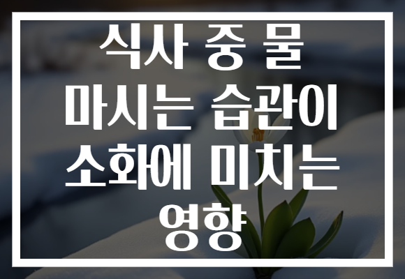 식사 중 물 마시는 습관이 소화에 미치는 영향