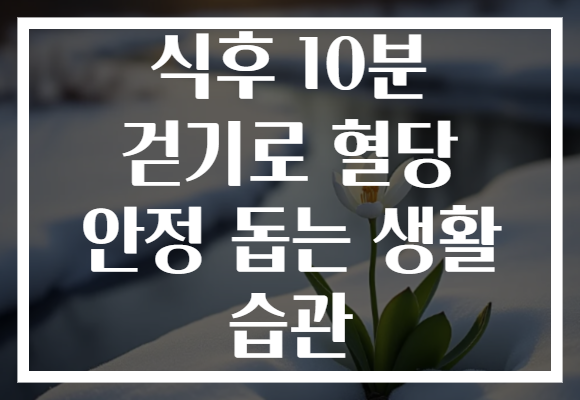 식후 10분 걷기로 혈당 안정 돕는 생활 습관