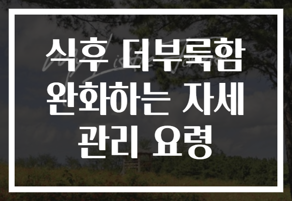 식후 더부룩함 완화하는 자세 관리 요령 식후 더부룩함 완화하는 자세 관리 요령