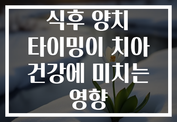 식후 양치 타이밍이 치아 건강에 미치는 영향