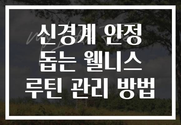 신경계 안정 돕는 웰니스 루틴 관리 방법