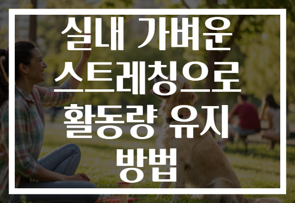 실내 가벼운 스트레칭으로 활동량 유지 방법