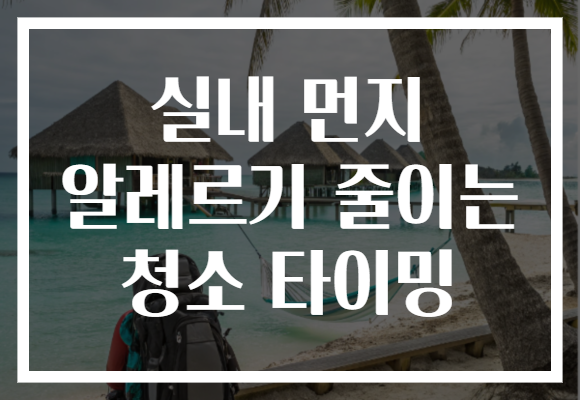 실내 먼지 알레르기 줄이는 청소 타이밍 실내 먼지 알레르기 줄이는 청소 타이밍