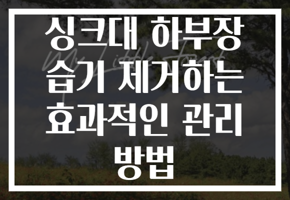 싱크대 하부장 습기 제거하는 효과적인 관리 방법 싱크대 하부장 습기 제거하는 효과적인 관리 방법
