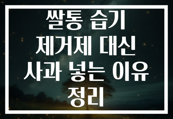 쌀통 습기 제거제 대신 사과 넣는 이유 정리 쌀통 습기 제거제 대신 사과 넣는 이유 정리