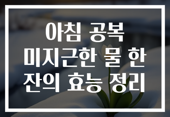 아침 공복 미지근한 물 한 잔의 효능 정리