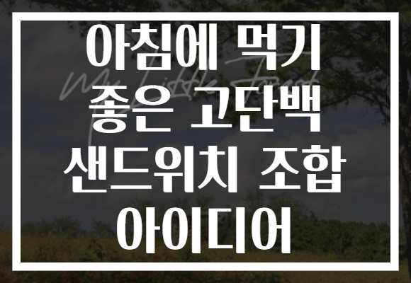 아침에 먹기 좋은 고단백 샌드위치 조합 아이디어