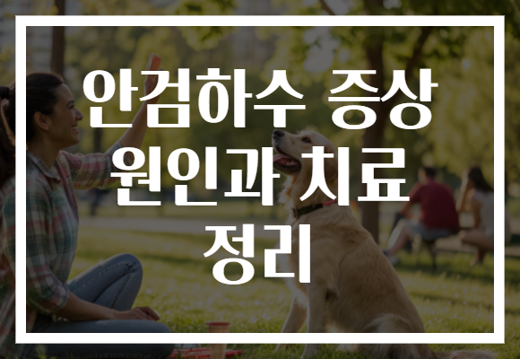 안검하수 증상 원인과 치료 정리