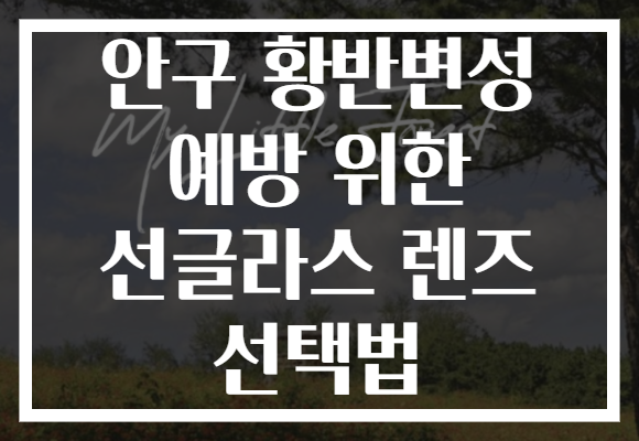 안구 황반변성 예방 위한 선글라스 렌즈 선택법