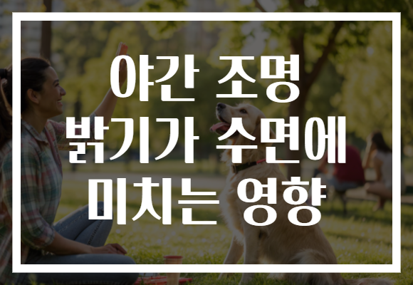야간 조명 밝기가 수면에 미치는 영향 야간 조명 밝기가 수면에 미치는 영향