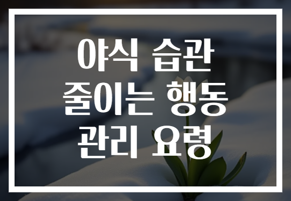 야식 습관 줄이는 행동 관리 요령