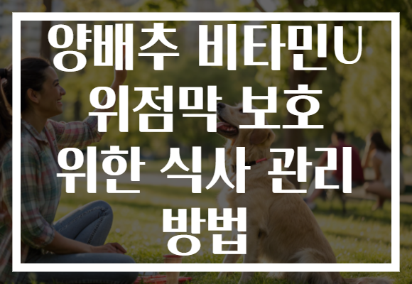 양배추 비타민U 위점막 보호 위한 식사 관리 방법 양배추 비타민U 위점막 보호 위한 식사 관리 방법
