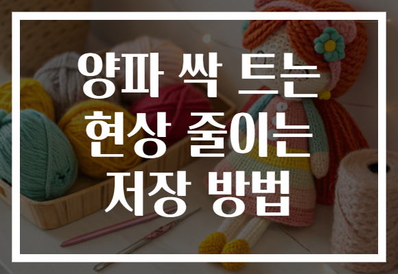 양파 싹 트는 현상 줄이는 저장 방법