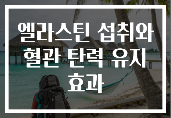 엘라스틴 섭취와 혈관 탄력 유지 효과