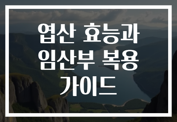 엽산 효능과 임산부 복용 가이드