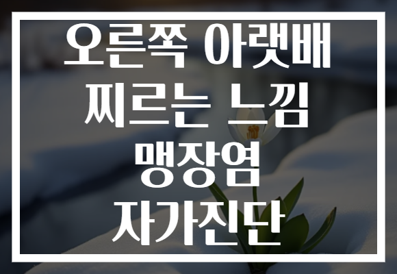 오른쪽 아랫배 찌르는 느낌 맹장염 자가진단