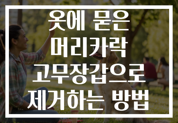 옷에 묻은 머리카락 고무장갑으로 제거하는 방법