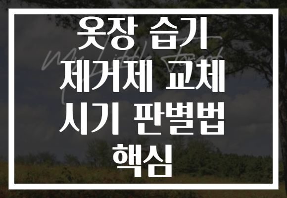 옷장 습기 제거제 교체 시기 판별법 핵심 옷장 습기 제거제 교체 시기 판별법 핵심