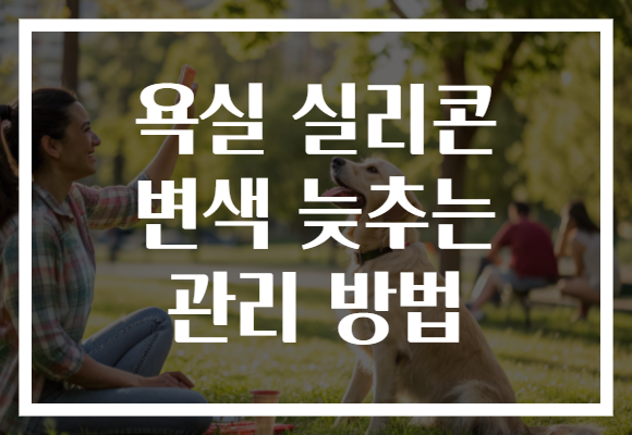 욕실 실리콘 변색 늦추는 관리 방법