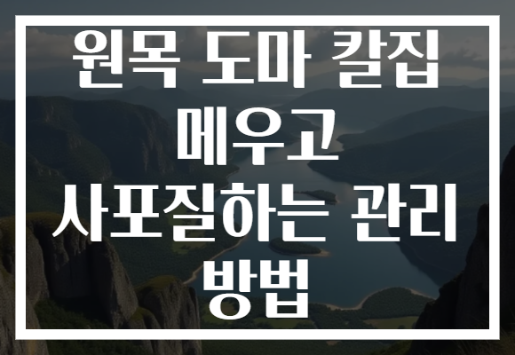 원목 도마 칼집 메우고 사포질하는 관리 방법
