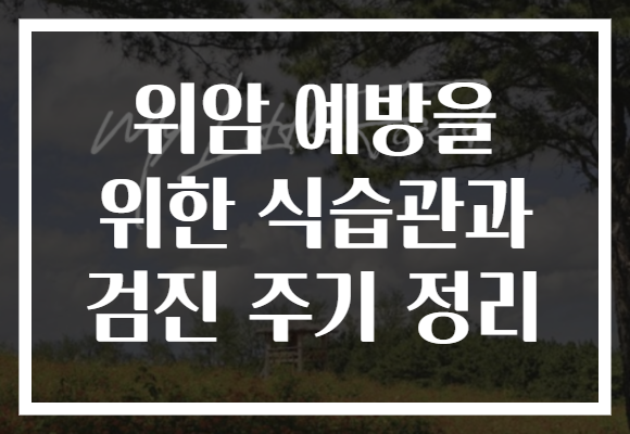 위암 예방을 위한 식습관과 검진 주기 정리 위암 예방을 위한 식습관과 검진 주기 정리