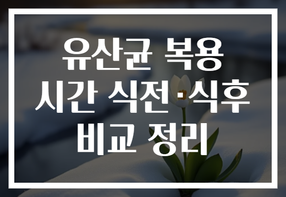 유산균 복용 시간 식전·식후 비교 정리 유산균 복용 시간 식전·식후 비교 정리