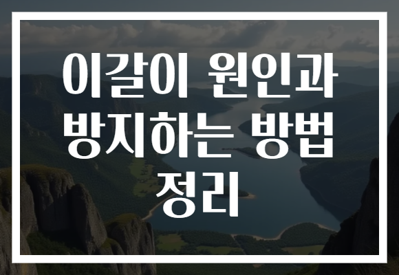 이갈이 원인과 방지하는 방법 정리 이갈이 원인과 방지하는 방법 정리
