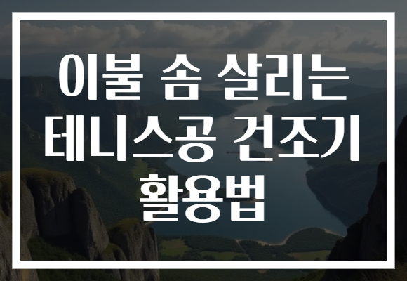 이불 솜 살리는 테니스공 건조기 활용법