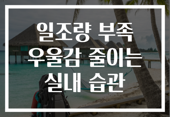 일조량 부족 우울감 줄이는 실내 습관 일조량 부족 우울감 줄이는 실내 습관