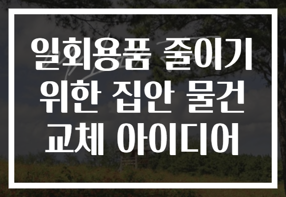 일회용품 줄이기 위한 집안 물건 교체 아이디어