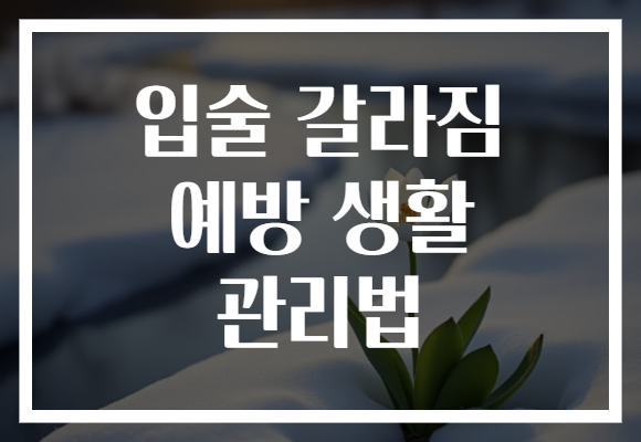 입술 갈라짐 예방 생활 관리법