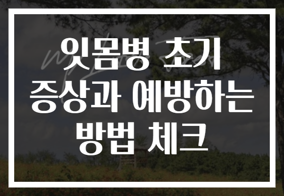 잇몸병 초기 증상과 예방하는 방법 체크 잇몸병 초기 증상과 예방하는 방법 체크