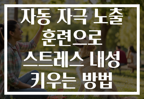 자동 자극 노출 훈련으로 스트레스 내성 키우는 방법