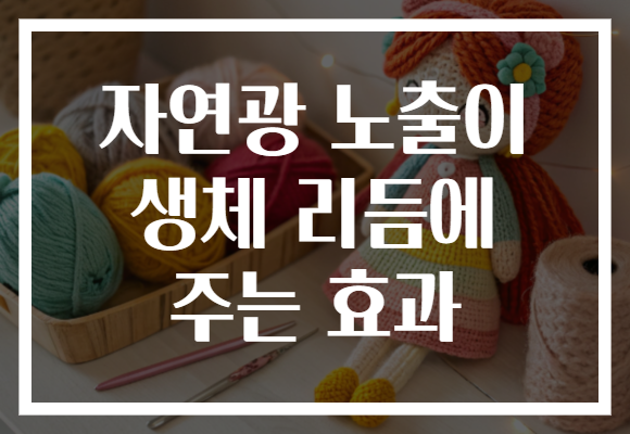 자연광 노출이 생체 리듬에 주는 효과 자연광 노출이 생체 리듬에 주는 효과