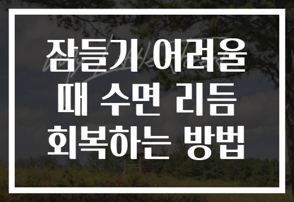 잠들기 어려울 때 수면 리듬 회복하는 방법 잠들기 어려울 때 수면 리듬 회복하는 방법