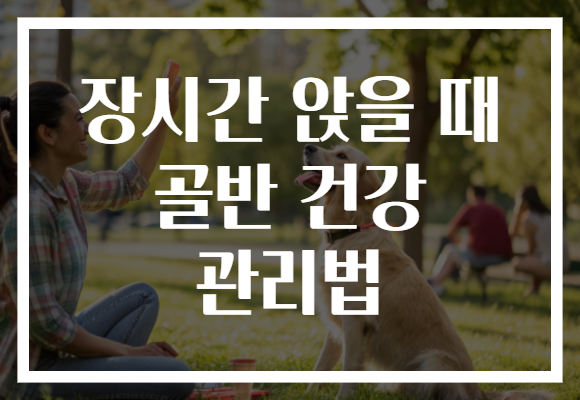 장시간 앉을 때 골반 건강 관리법 장시간 앉을 때 골반 건강 관리법