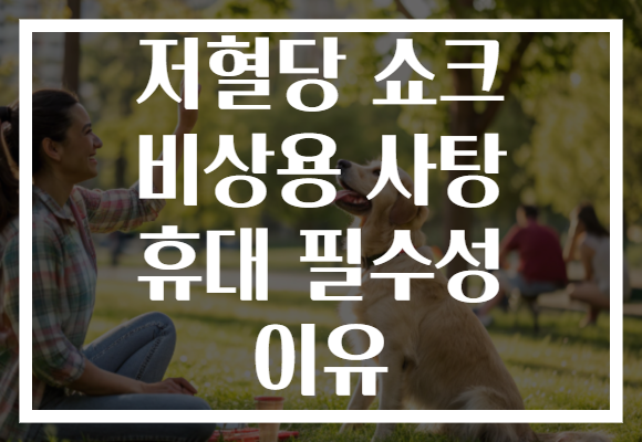 저혈당 쇼크 비상용 사탕 휴대 필수성 이유 저혈당 쇼크 비상용 사탕 휴대 필수성 이유