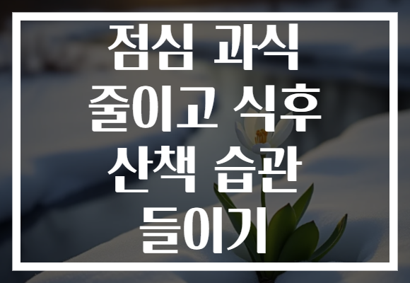 점심 과식 줄이고 식후 산책 습관 들이기 점심 과식 줄이고 식후 산책 습관 들이기