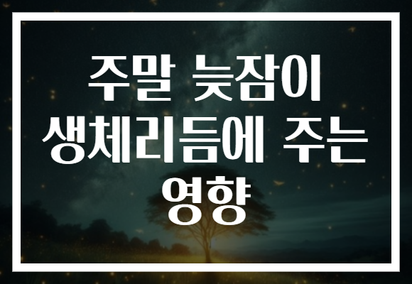 주말 늦잠이 생체리듬에 주는 영향 주말 늦잠이 생체리듬에 주는 영향