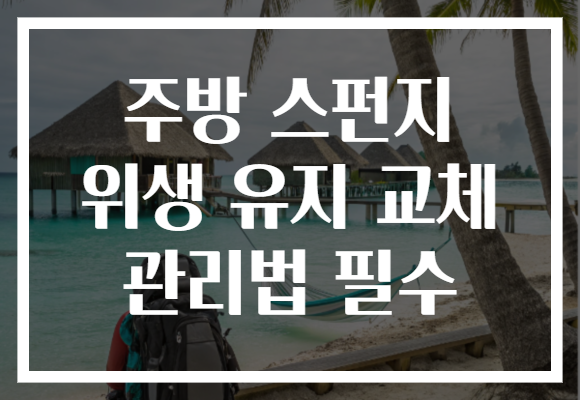 주방 스펀지 위생 유지 교체 관리법 필수