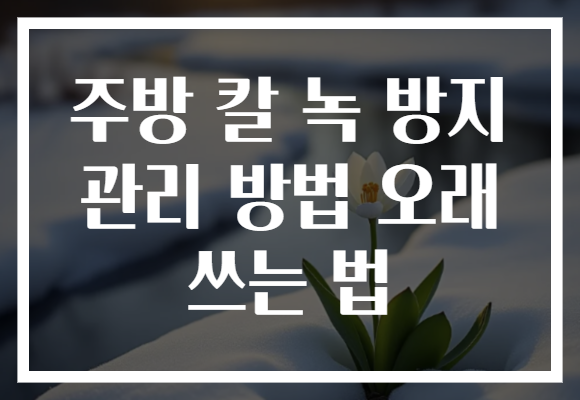 주방 칼 녹 방지 관리 방법 오래 쓰는 법